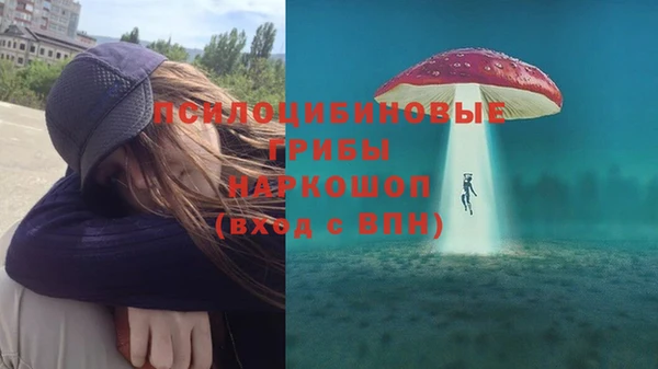 шишки Богданович