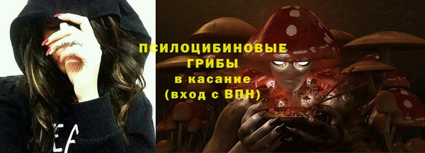 шишки Богданович
