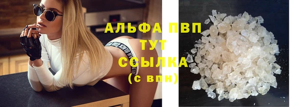 спиды Бородино