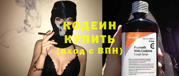 спиды Бородино