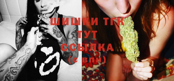 спиды Бородино