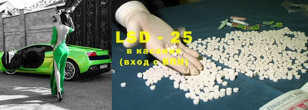 спиды Бородино