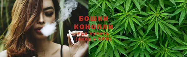 винт Бронницы