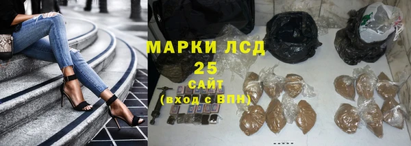 спиды Бородино