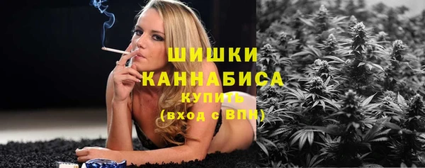 винт Бронницы